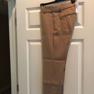 J Crew pants